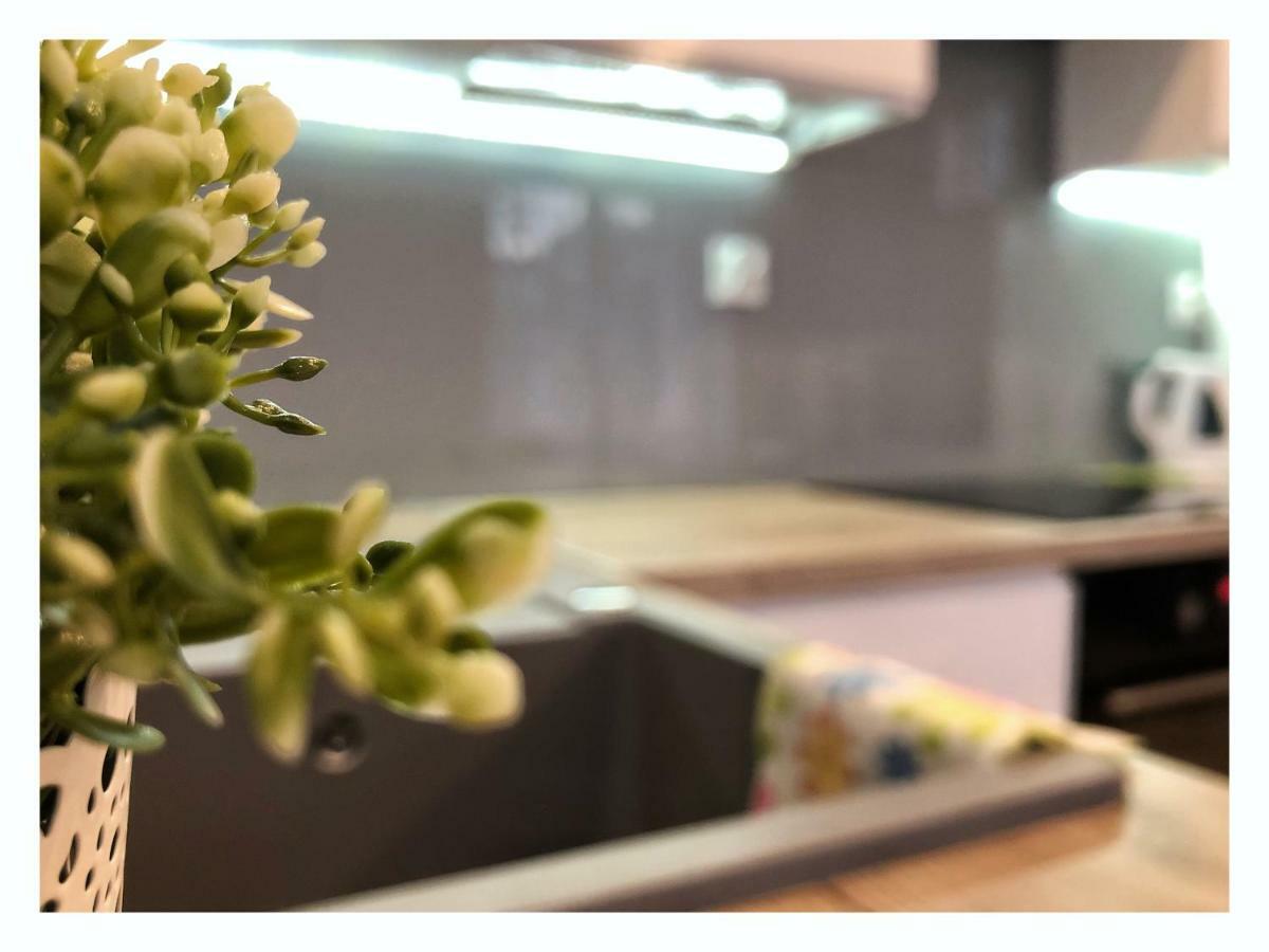 Apartament Przy Ratuszu ジェシュフ エクステリア 写真